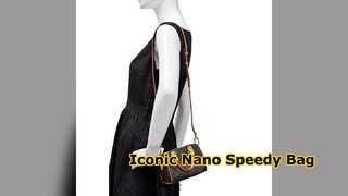 Nano snelle Louis Vuitton-monogramtas M81085