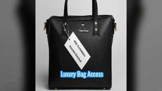 Preloved Louis Vuitton-tas Stijl en toegang