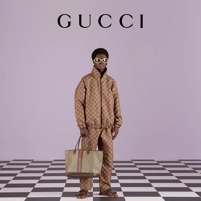 De gemerkte Zak van Gucci Ophidia van Vrouwen Bruine Klein Middelgroot Groot Tote Ebony