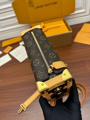 Bruin Presbyopic-Zij de Boomstammonogram van Canvaslouis vuitton LV PM Zak Koffer