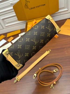 Bruin Presbyopic-Zij de Boomstammonogram van Canvaslouis vuitton LV PM Zak Koffer