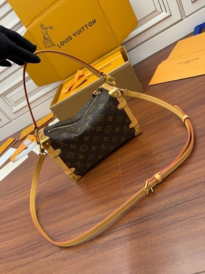 Bruin Presbyopic-Zij de Boomstammonogram van Canvaslouis vuitton LV PM Zak Koffer