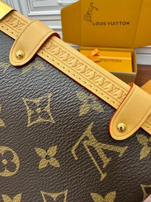 Bruin Presbyopic-Zij de Boomstammonogram van Canvaslouis vuitton LV PM Zak Koffer