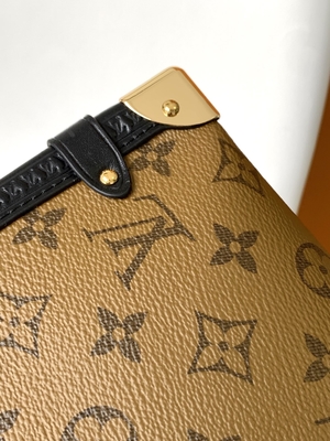 Met een laag bedekte van de Presbyopielouis vuitton M46358 LV van de Canvascruise van het de Boomstammonogram Zij de Schouderzak