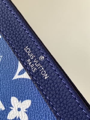 Klein Wearable de Portefeuille Dubbel Pit van Gaston Louis Vuitton LV Pochette 