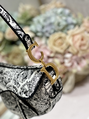 Vrouwenborduurwerk Dior Saddle Sling Bag Patchwork 25cm met 3 Binnenlandse Zakken