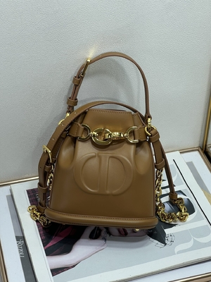 In reliëf gemaakte CD Christian Dior Sport Bag Calfskin van C'est Dior Bag Gold Saddle