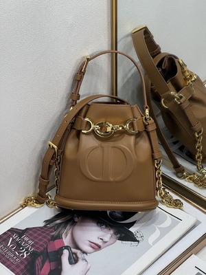 In reliëf gemaakte CD Christian Dior Sport Bag Calfskin van C'est Dior Bag Gold Saddle