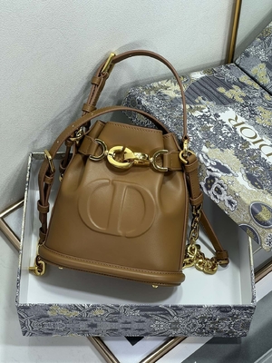 In reliëf gemaakte CD Christian Dior Sport Bag Calfskin van C'est Dior Bag Gold Saddle