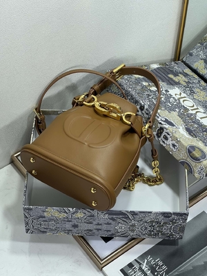 In reliëf gemaakte CD Christian Dior Sport Bag Calfskin van C'est Dior Bag Gold Saddle