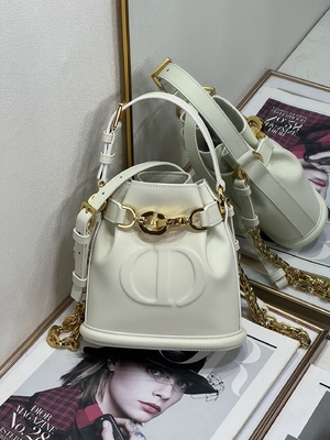 In reliëf gemaakte CD Christian Dior Sport Bag Calfskin van C'est Dior Bag Gold Saddle