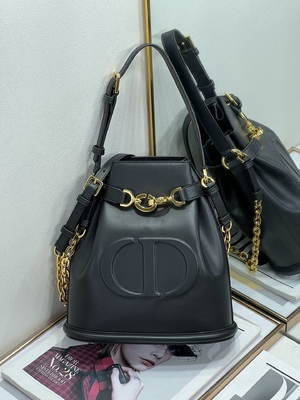 In reliëf gemaakte CD Christian Dior Sport Bag Calfskin van C'est Dior Bag Gold Saddle